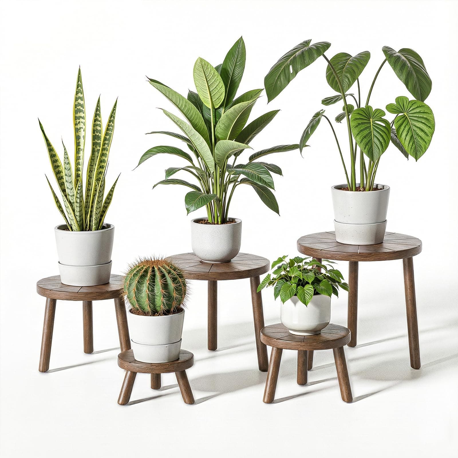 Delma Wood Plant Stands Indoor, 5-Pack Single Plant Stand for 6-12 Inch Pots, Mid-Century Modern Plant Stool, Tall Plant Stand for Large Plants for Living Room, Balcony, Office (Dark Brown, 5-Pack) Dark Brown 5-Pack